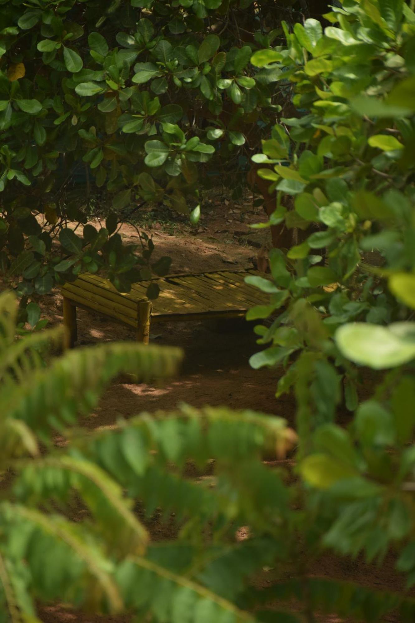 Hotel Travellers Crib Auroville Esterno foto
